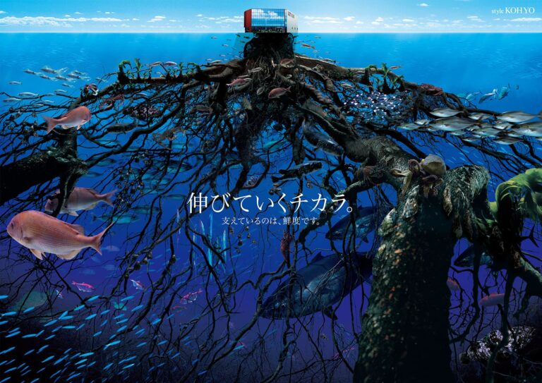 光洋様ブランド広告制作ビジュアル”海”